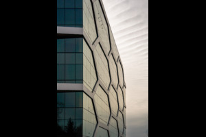 The Hive