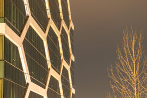 The Hive