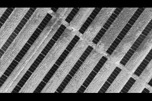 Travers Solar near Lomond, Alberta, is a 465 MW solar project covering roughly 3,300 acres in Vulcan County. Opened in 2022, the CAD 700 million project is backed by a 15-year Amazon agreement for 400 MW of output. More than 3,000 sheep graze beneath the panels, while CAD 700–900 per acre lease payments helped stabilize the Steeves family farm, Yetwood Farms.