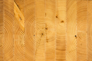 Kalesnikoff Mass Timber and K3 modular construction operations near Castlegar, British Columbia. Founded as a family-owned sawmill in 1940, Kalesnikoff has expanded into mass timber, modular components and finished building systems, investing about $65 million across major facilities in South Slocan and Castlegar. The site shows how a traditional forestry company can move up the value chain, supporting regional employment while producing engineered wood products that can contribute to faster construction and lower embodied carbon in some building applications.