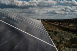 Travers Solar near Lomond, Alberta, is a 465 MW solar project covering roughly 3,300 acres in Vulcan County. Opened in 2022, the CAD 700 million project is backed by a 15-year Amazon agreement for 400 MW of output. More than 3,000 sheep graze beneath the panels, while CAD 700–900 per acre lease payments helped stabilize the Steeves family farm, Yetwood Farms.