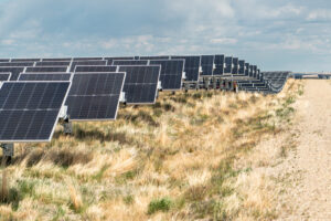 Travers Solar near Lomond, Alberta, is a 465 MW solar project covering roughly 3,300 acres in Vulcan County. Opened in 2022, the CAD 700 million project is backed by a 15-year Amazon agreement for 400 MW of output. More than 3,000 sheep graze beneath the panels, while CAD 700–900 per acre lease payments helped stabilize the Steeves family farm, Yetwood Farms.